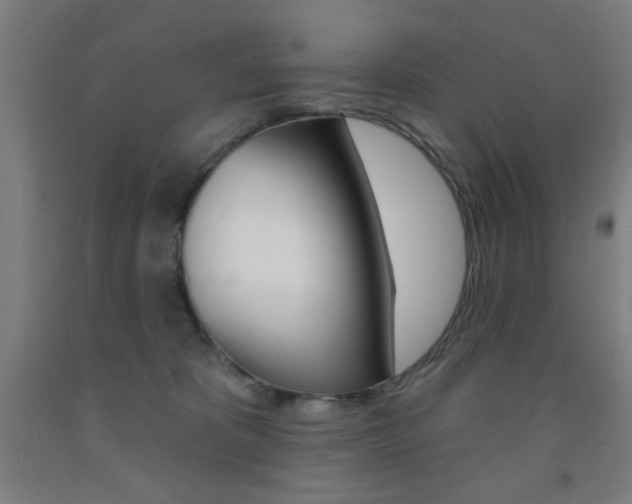 X0000093140325200709261104