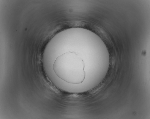 X0000093140326200709261104