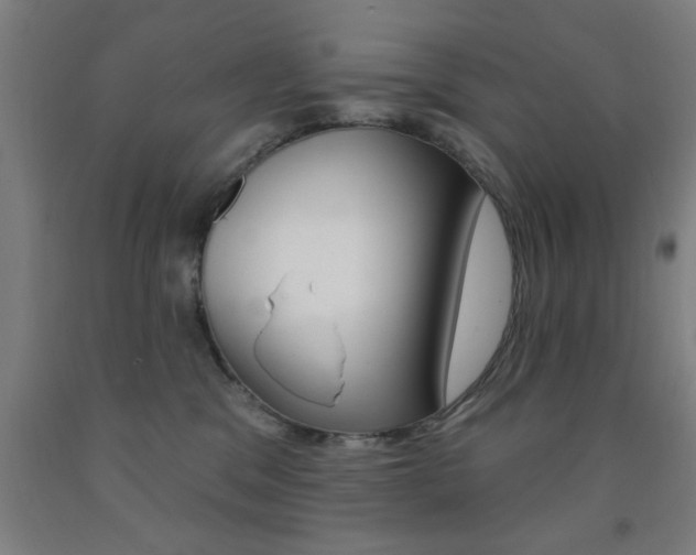 X0000093140329200709261104