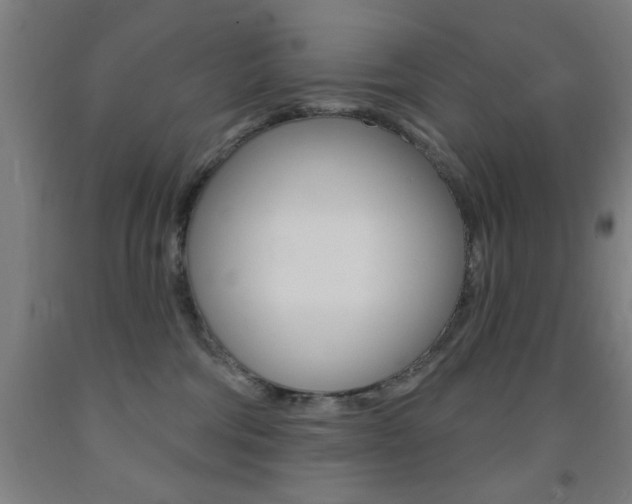 X0000093140330200709261104