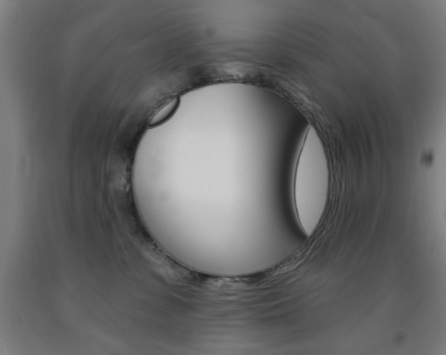 X0000093140331200709261104