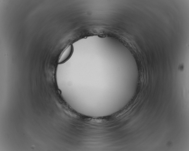 X0000093140332200709261104
