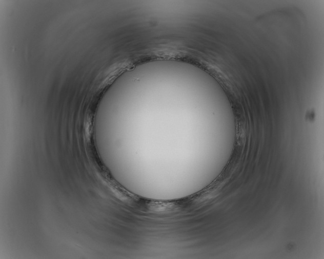 X0000093140334200709261104