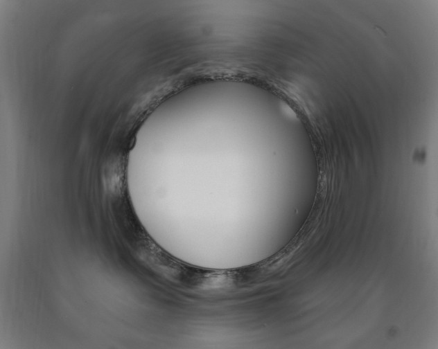X0000093140335200709261104
