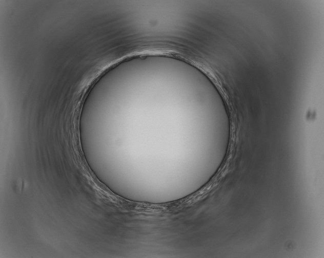 X0000093140337200709261103