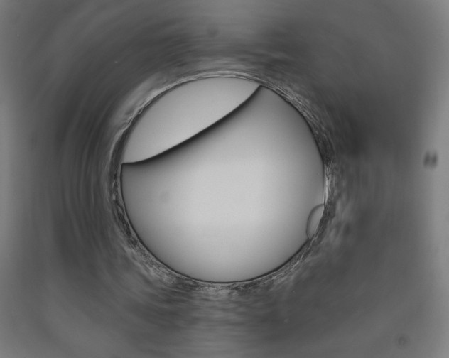 X0000093140339200709261103