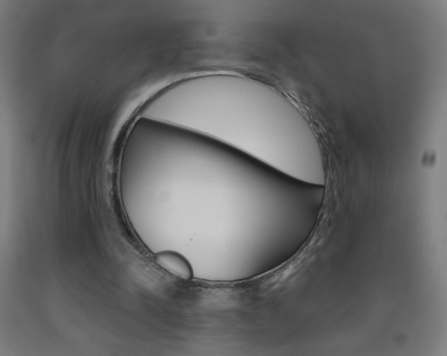 X0000093140342200709261103