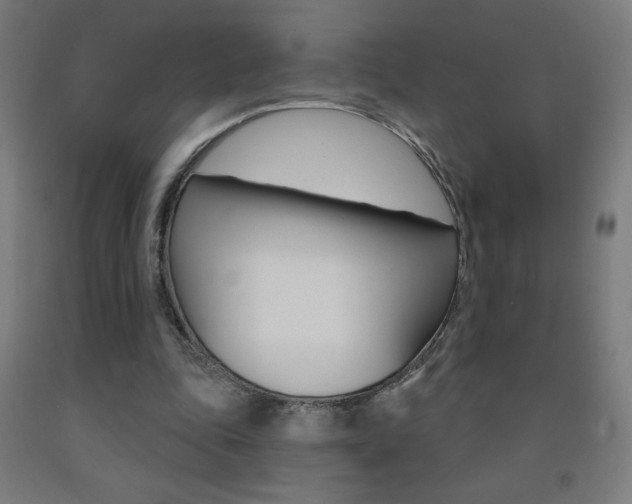 X0000093140343200709261103