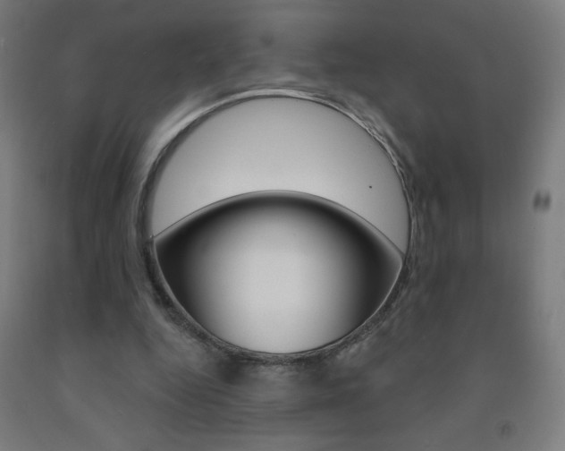 X0000093140344200709261103