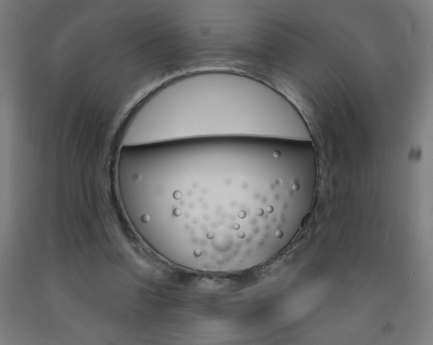 X0000093140346200709261103