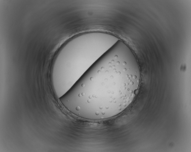 X0000093140347200709261103