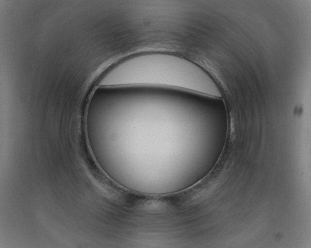 X0000093140348200709261103