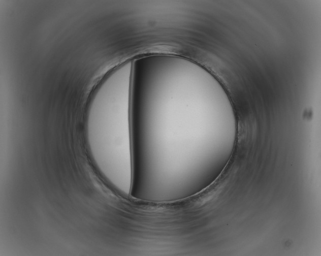 X0000093140349200709261103