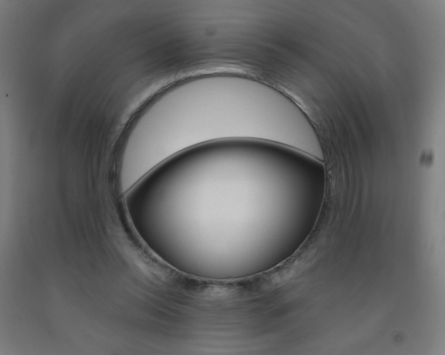 X0000093140350200709261103