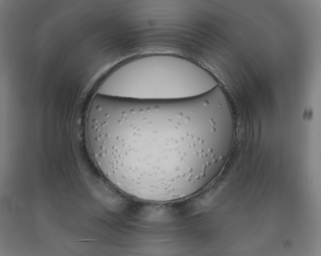 X0000093140351200709261103