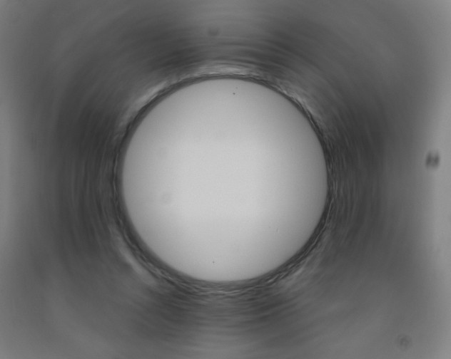 X0000093140352200709261103
