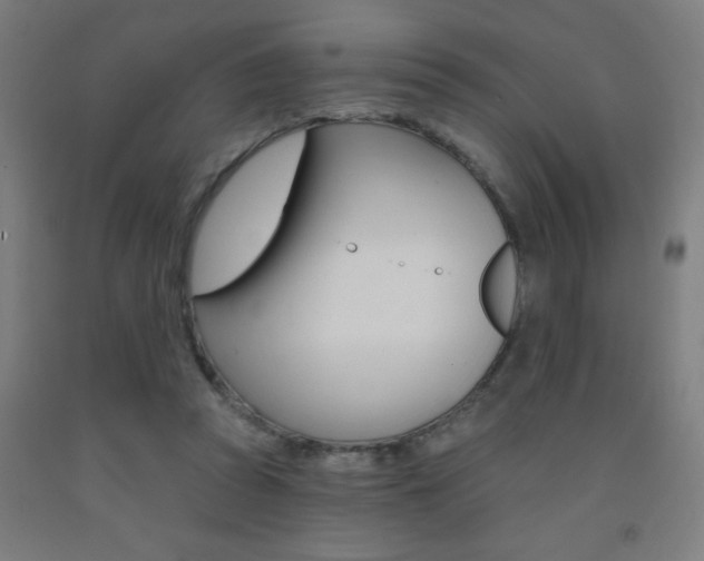 X0000093140353200709261103