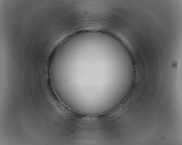 X0000093140354200709261103