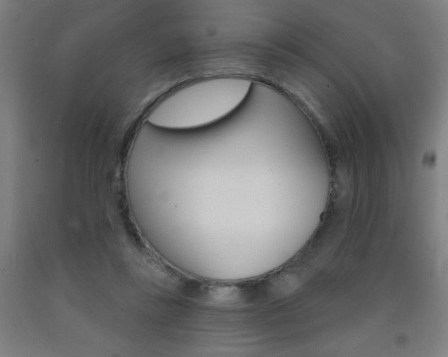 X0000093140355200709261103
