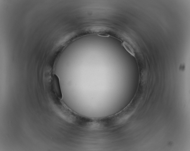 X0000093140356200709261103