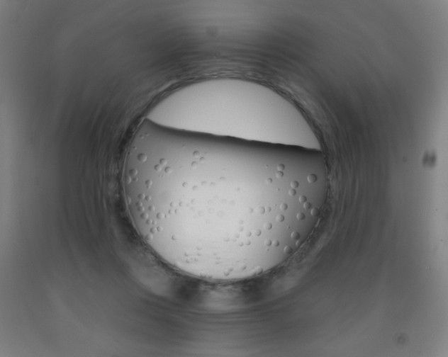 X0000093140359200709261103