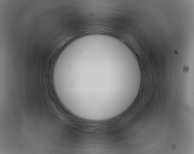 X0000093140360200709261103
