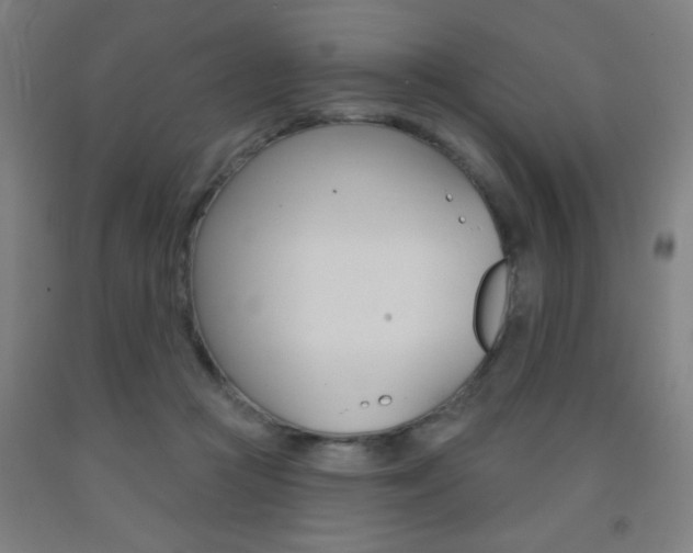X0000093140361200709261103