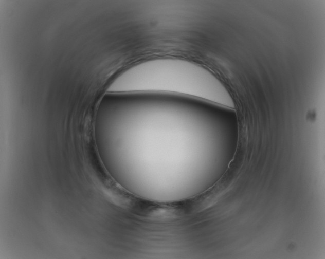 X0000093140364200709261103