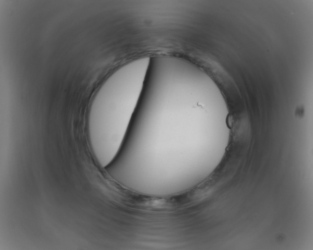 X0000093140365200709261103