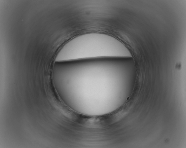 X0000093140366200709261103