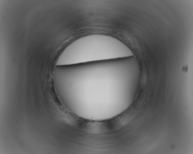 X0000093140367200709261103