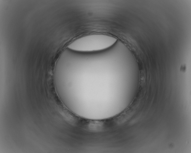 X0000093140369200709261103