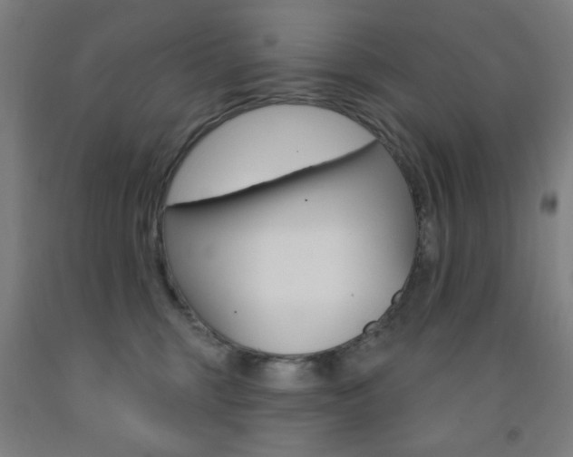 X0000093140375200709261104