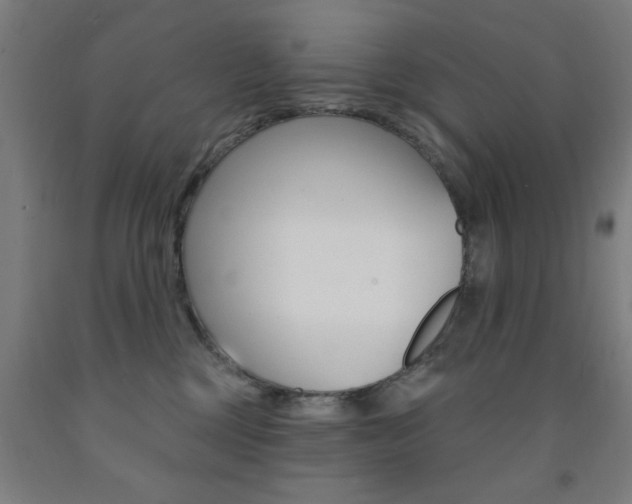 X0000093140377200709261104