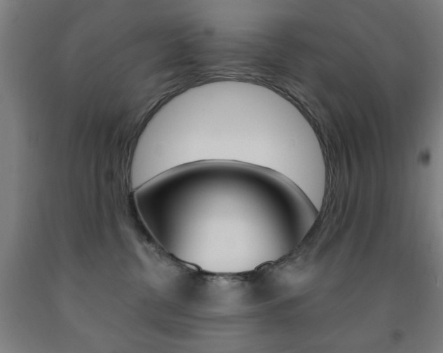 X0000093140380200709261104