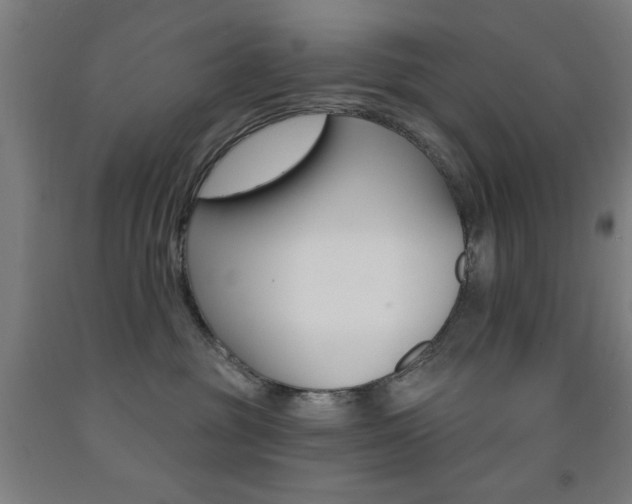 X0000093140381200709261104