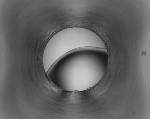 X0000093140384200709261104