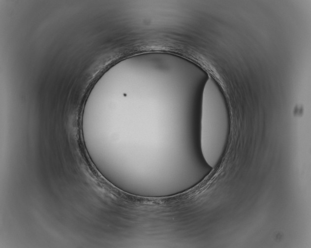 X0000093140386200709261103