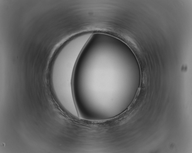X0000093140388200709261103