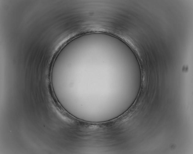 X0000093140390200709261103