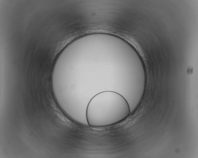 X0000093140393200709261103