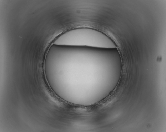 X0000093140394200709261103