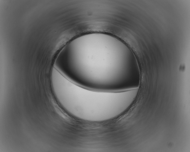 X0000093140397200709261103