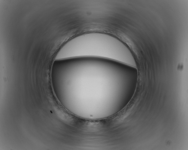 X0000093140401200709261103