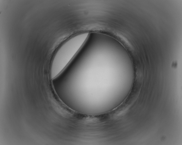 X0000093140403200709261103