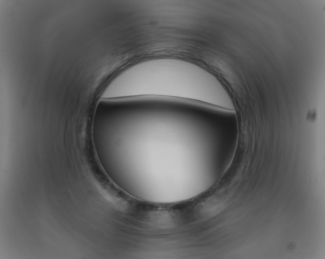 X0000093140404200709261103