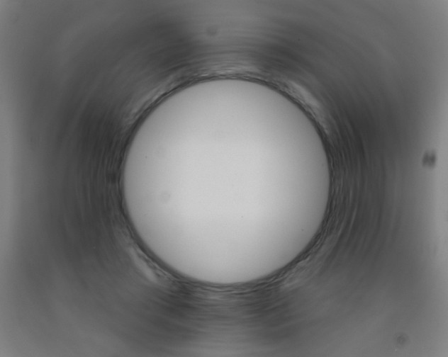 X0000093140405200709261103