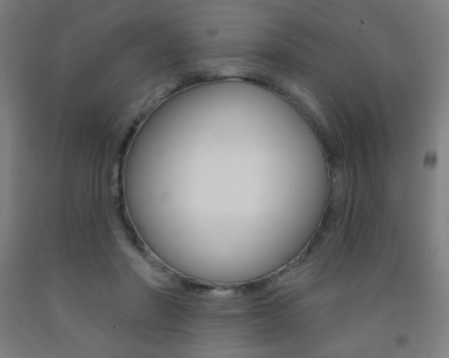 X0000093140406200709261103