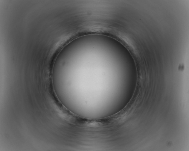 X0000093140407200709261103