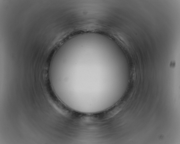 X0000093140408200709261103